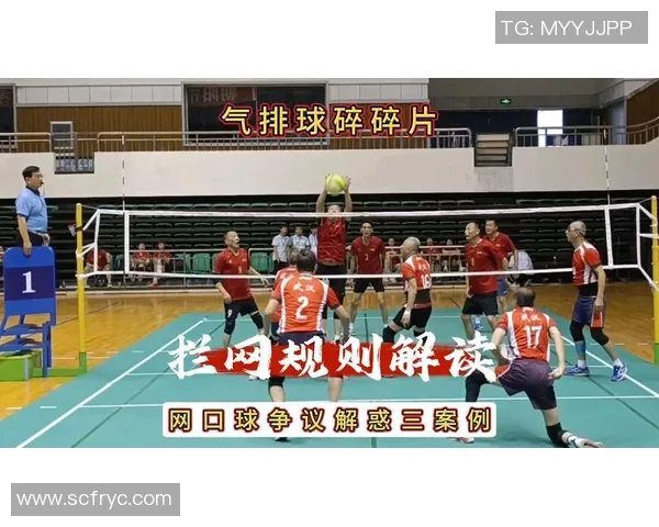 排球盛宴：深入分析西安排球队灵活性与战术变革的奥秘